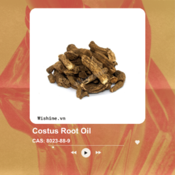 Costus Root Oil