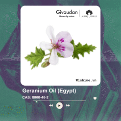 Geranium Oil (Egypt)