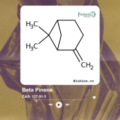 Beta Pinene