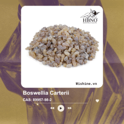Boswellia Carterii