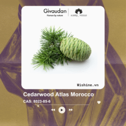 Cedarwood Atlas Morocco